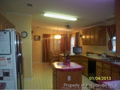 41 Dixie Trail Rd, Lumber Bridge, NC 28357 - photo 3