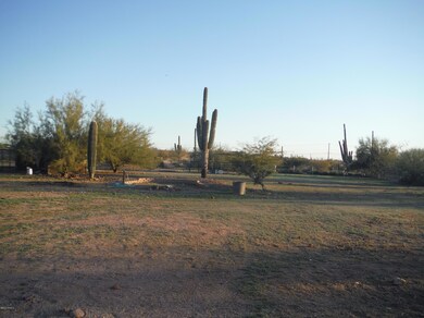 DSCF0828