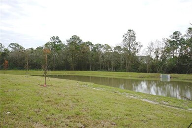 7142 Twisting Pines Loop, Zephyrhills, FL 33541 - photo 4