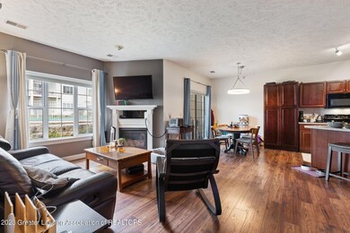 268 gas fire place