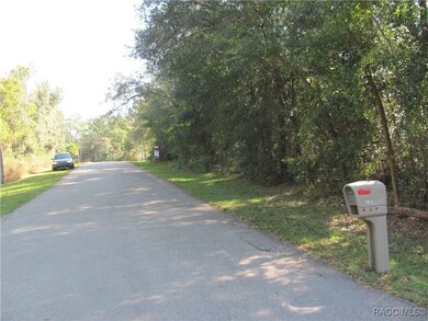 1264 E Getty Ln, Hernando, FL 34442 - photo 5