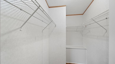 835 Robertson Rd, Mason, TN 38049 - photo 5