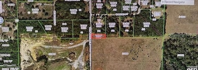 1251 N Maylen Ave, Lecanto, FL 34461 - photo 3