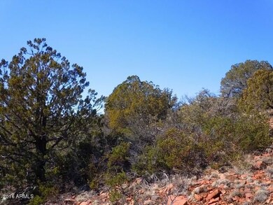 46 W Coyote Drive -- unit 46, Strawberry, AZ 85544 - photo 5