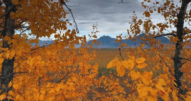 B3 L7 W Chigmit Cir, Wasilla, AK 99654 - photo 2