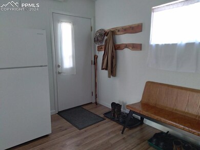 Entrance foyer featuring wood-type flooring