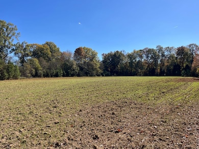 Al-10, Shorterville, AL 36373 - photo 2