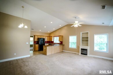 3832 W Palmyra Ct unit 20, Peoria, IL 61604 - photo 5