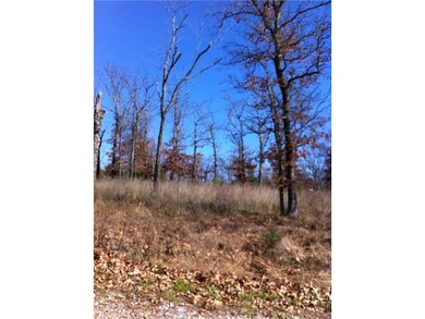 0 S Hwy 170 1a unit 668159, West Fork, AR 72774 - photo 7