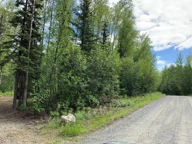 13765 W Holly Loop, Big Lake, AK 99652 - photo 4