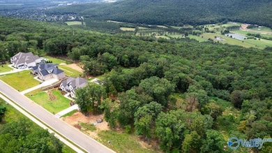 49 Watson Grande Way SE, Owens Cross Roads, AL 35763 - photo 6