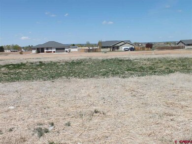 Lot 9 Kaleigh Cir, Cortez, CO 81321 - photo 3