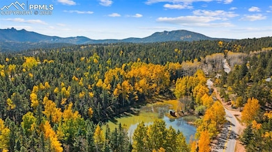 2558 County Road 28, Woodland Park, CO 80863 - photo 2