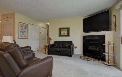 6776 Lagrange Dr unit 60E, Canal Winchester, OH 43110 - photo 3