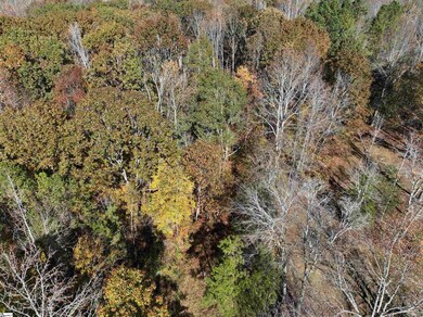 05 Sullivan Rd, Laurens, SC 29360 - photo 6