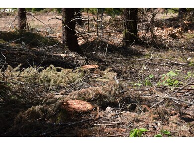 0 NW Meadow Lake Rd unit 19045317, Carlton, OR 97111 - photo 6