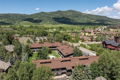 1355 Walton Creek Rd unit 21, Steamboat Springs, CO 80487 - photo 7