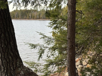 189 Horseshoe Cove Rd, Lakeville, ME 04487 - photo 2