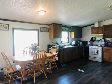 22230 3 Mile Rd, Reed City, MI 49677 - photo 4