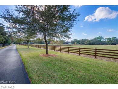 3001 Bateman Rd, Alva, FL 33920 - photo 6