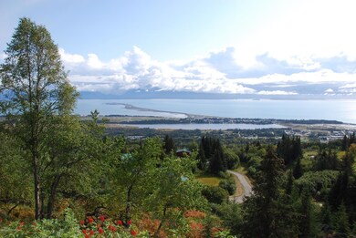Ridgeway View