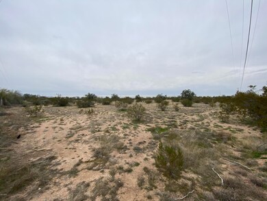 IMG_1171