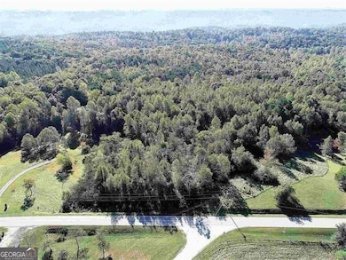 0 Webster Lake Rd unit 10656896, Cleveland, GA 30528 - photo 2