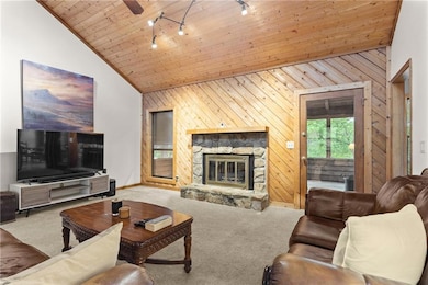 Living room featuring vaulted ceiling, rail lighting, carpet, wood walls, and a stone fireplace