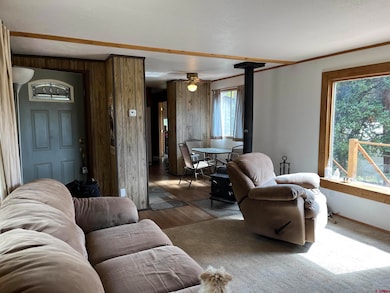 320 Forest Service 770 Rd, Pitkin, CO 81241 - photo 4