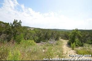 12303 Tatum, Helotes, TX 78023 - photo 4