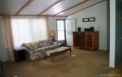 986 Roaring Fork Rd, Burnsville, NC 28714 - photo 6