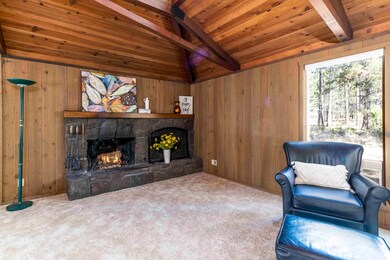 Wood Burning FP w/ Wood Storage