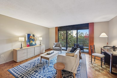 1200 on the Mall unit 426, Minneapolis, MN 55403 - photo 4