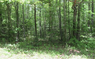 Additional View