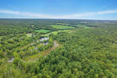 Drone / aerial view with a forest view