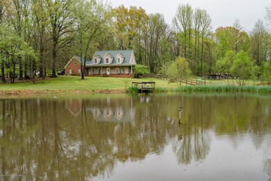 5330-C-301-snapsold-print-191523-1