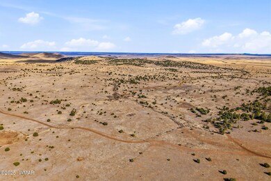 00 Tbd, Greer, AZ 85927 - photo 5