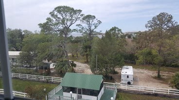 15 NW 1st St unit 305, Steinhatchee, FL 32359 - photo 3