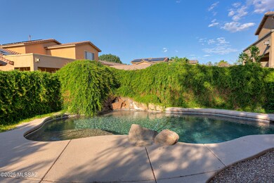 817 E Deer Spring Canyon Place, Sahuarita, AZ 85629 - photo 7