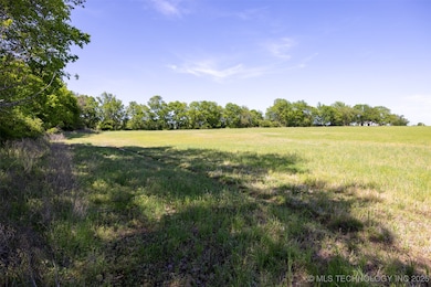 7 SE Lenapah St, Skiatook, OK 74070 - photo 5