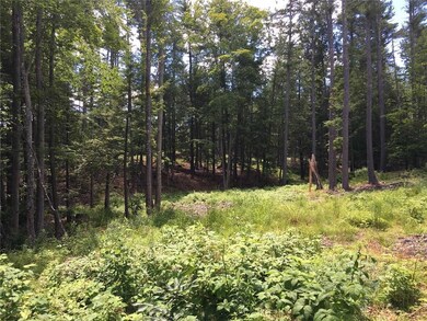 0 Berwick Rd, Ogunquit, ME 03907 - photo 2