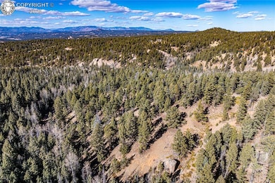 TBD Arrowhead Rd, Florissant, CO 80816 - photo 3