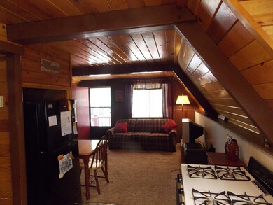 2882 big pine 004