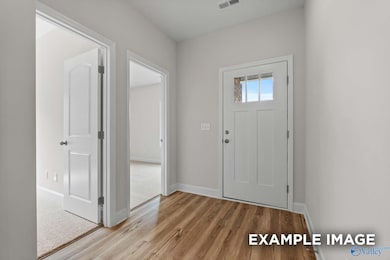 225 Pine Island Ave, Toney, AL 35773 - photo 3