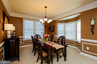 20 Gibson Dr, Fredericksburg, VA 22406 - photo 7