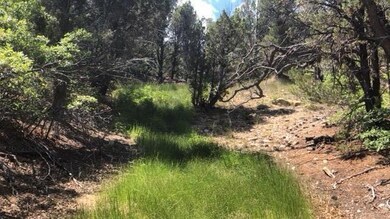 BLM Neighboring property