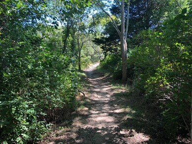path