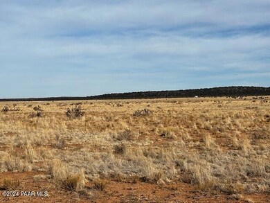 1270-D Along Way, Seligman, AZ 86337 - photo 7