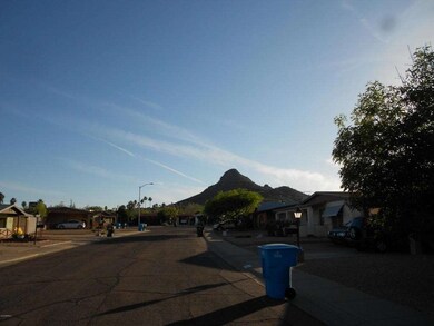 Mountain Views
