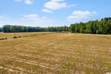 TBD Tj Sod Ln, Conway, SC 29527 - photo 5